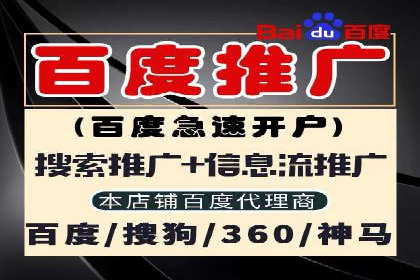 SEM竞价推广案例：打造行业领先的广告投放策略